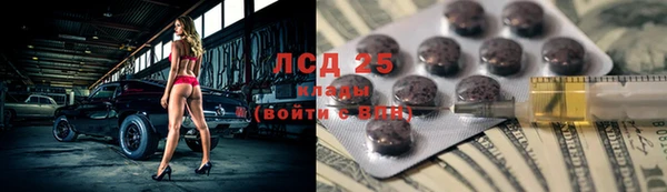 индика Верея