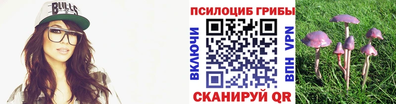 Купить  Окуловка  Псилоцибиновые грибы прущие грибы 